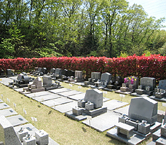 第十墓域(芝生墓地)のお墓
